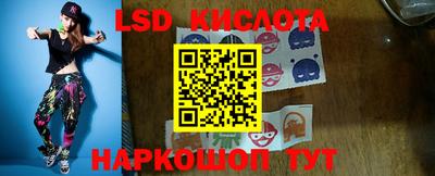 шишки Заволжье