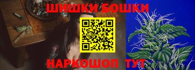 шишки Заволжье