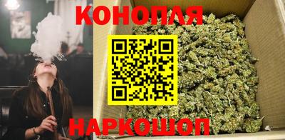 шишки Заволжье