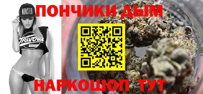 шишки Заволжье