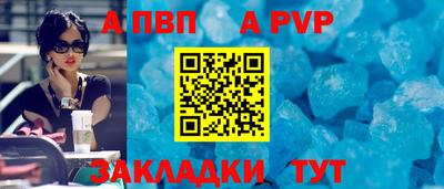 шишки Заволжье